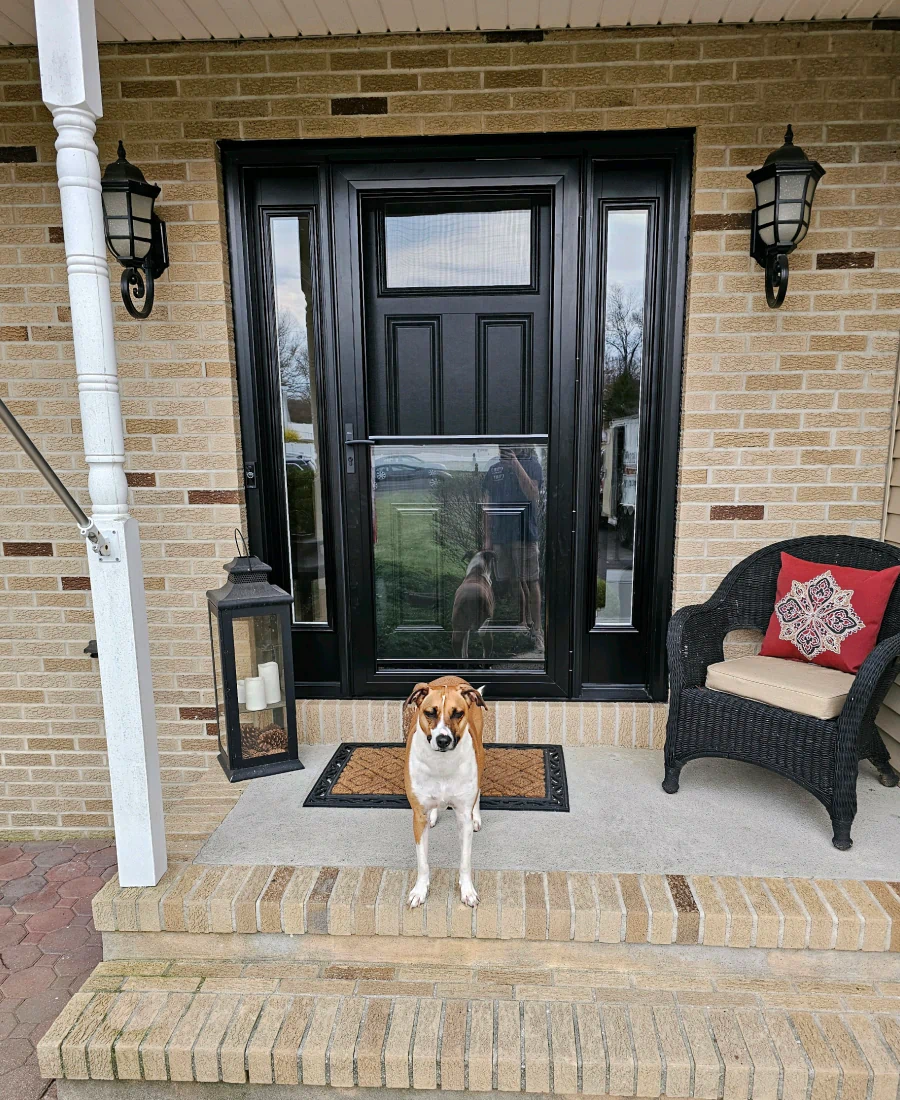 door and window installation